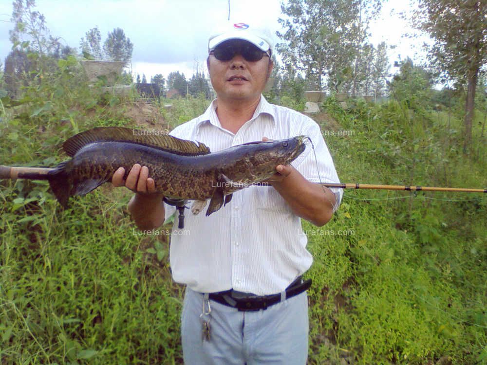 Picture39.jpg