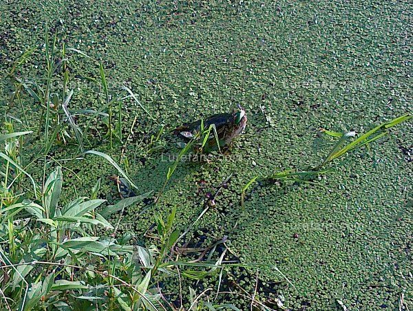 20100905279.jpg