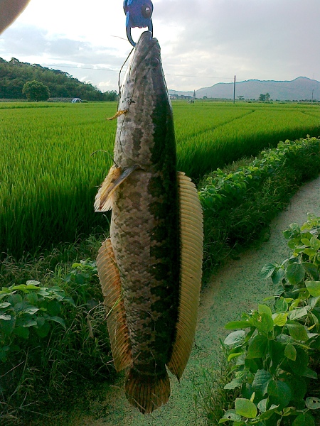 20100905274.jpg