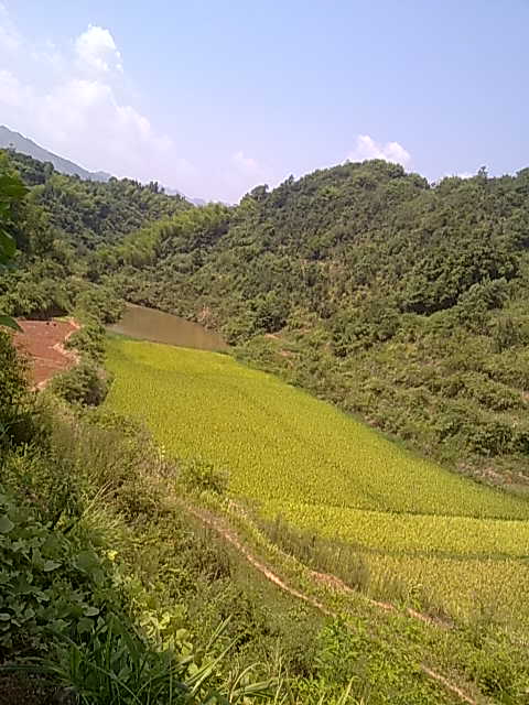 Ƭ 037.jpg