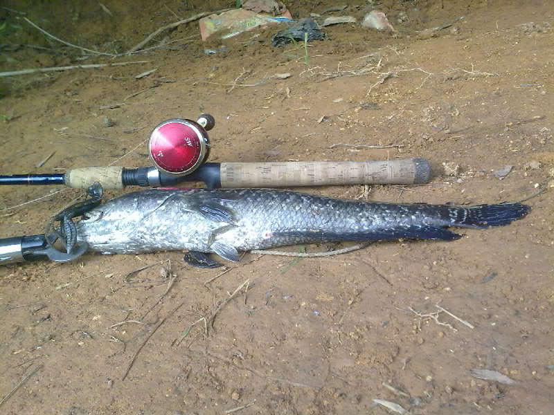 20100911050.jpg