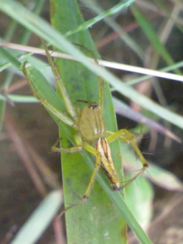 20100911058.jpg