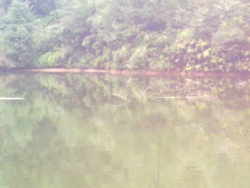20100912069.jpg