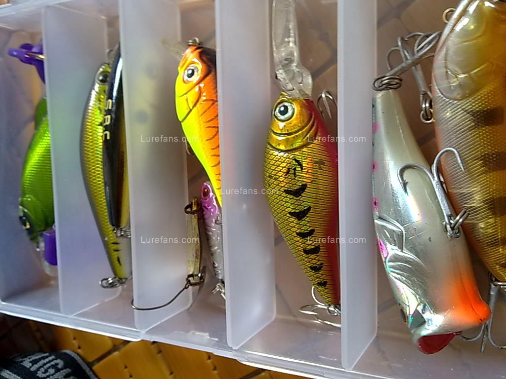 20100914213.jpg
