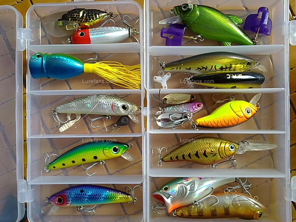 20100914214.jpg