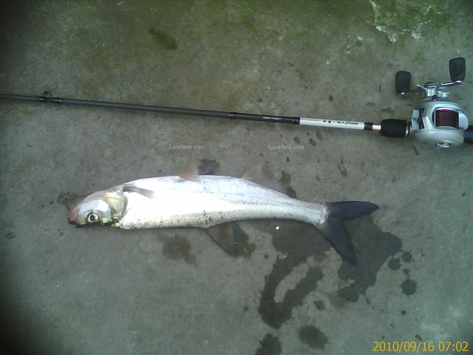 IMAG0021.jpg