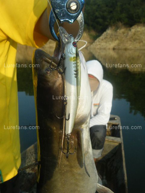 DSCF1030.JPG