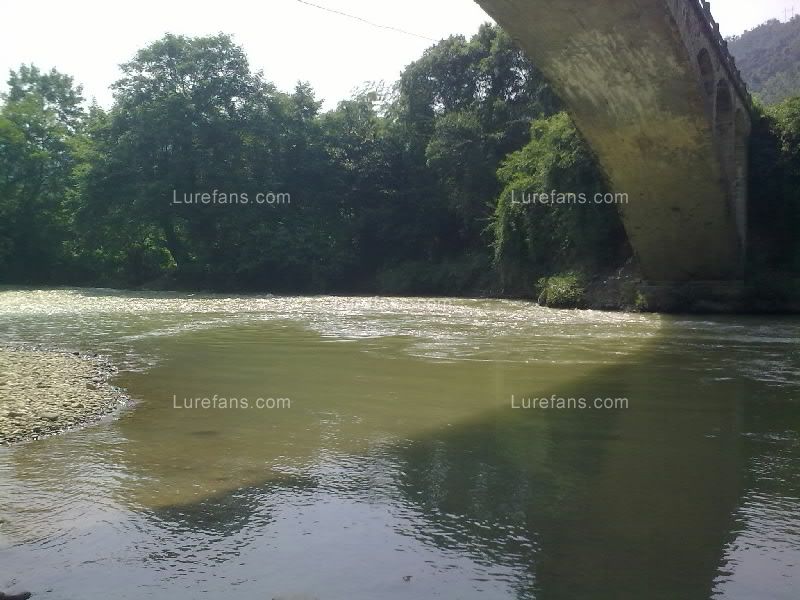 20100917107.jpg