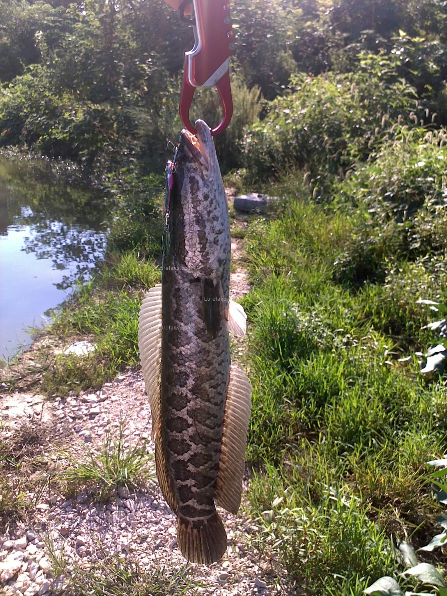 20100821047.jpg