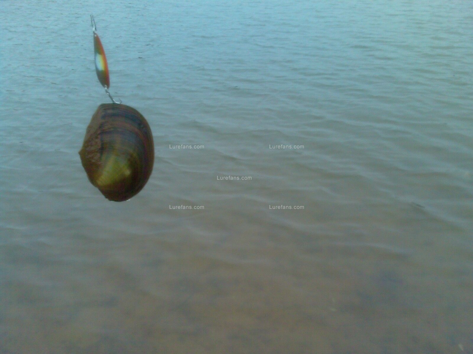 IMAG0102.jpg