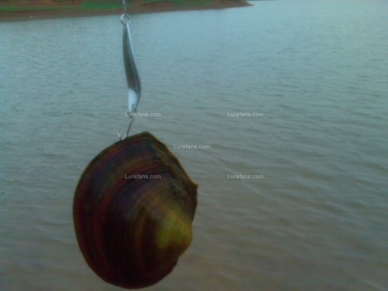 IMAG0103.jpg