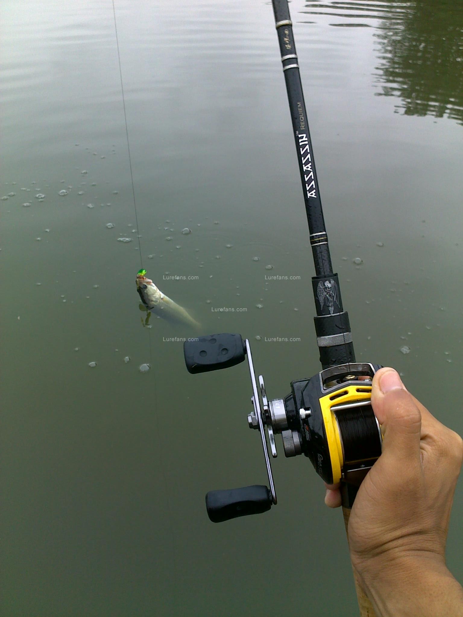20100926059.jpg