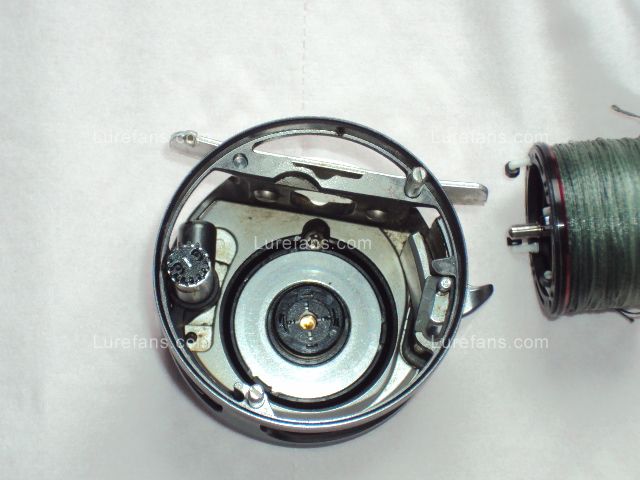 DSC02931.JPG