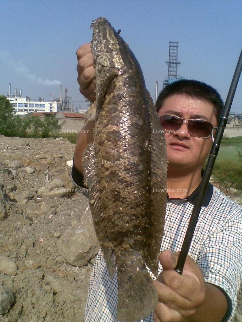 20100930(001).jpg