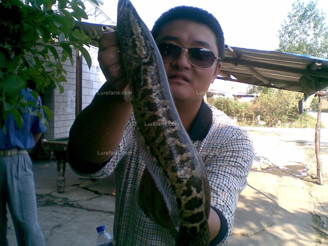 20100930(002).jpg