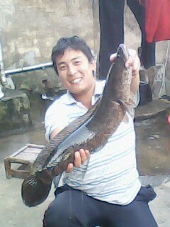 IMG0015A.jpg