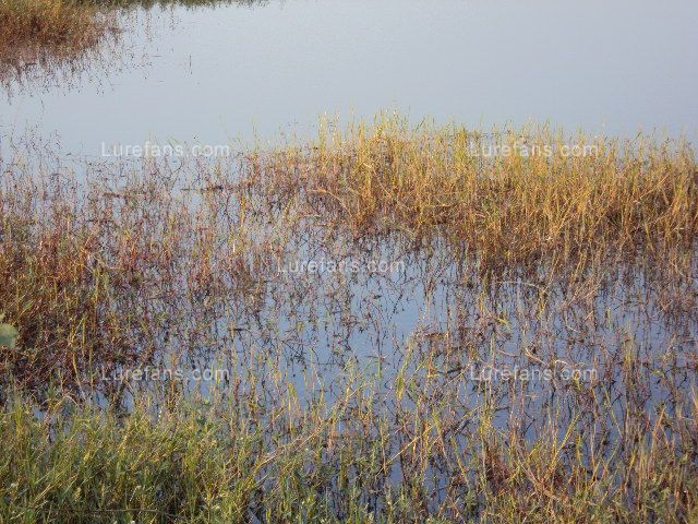 DSC02867.JPG