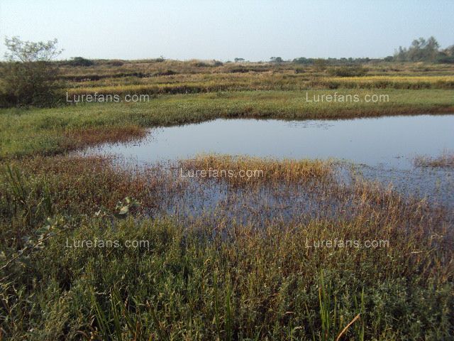 DSC02866.JPG