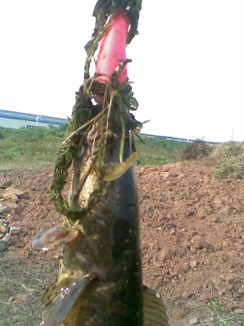 20101006(008).jpg