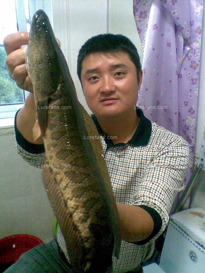 20101006(012).jpg