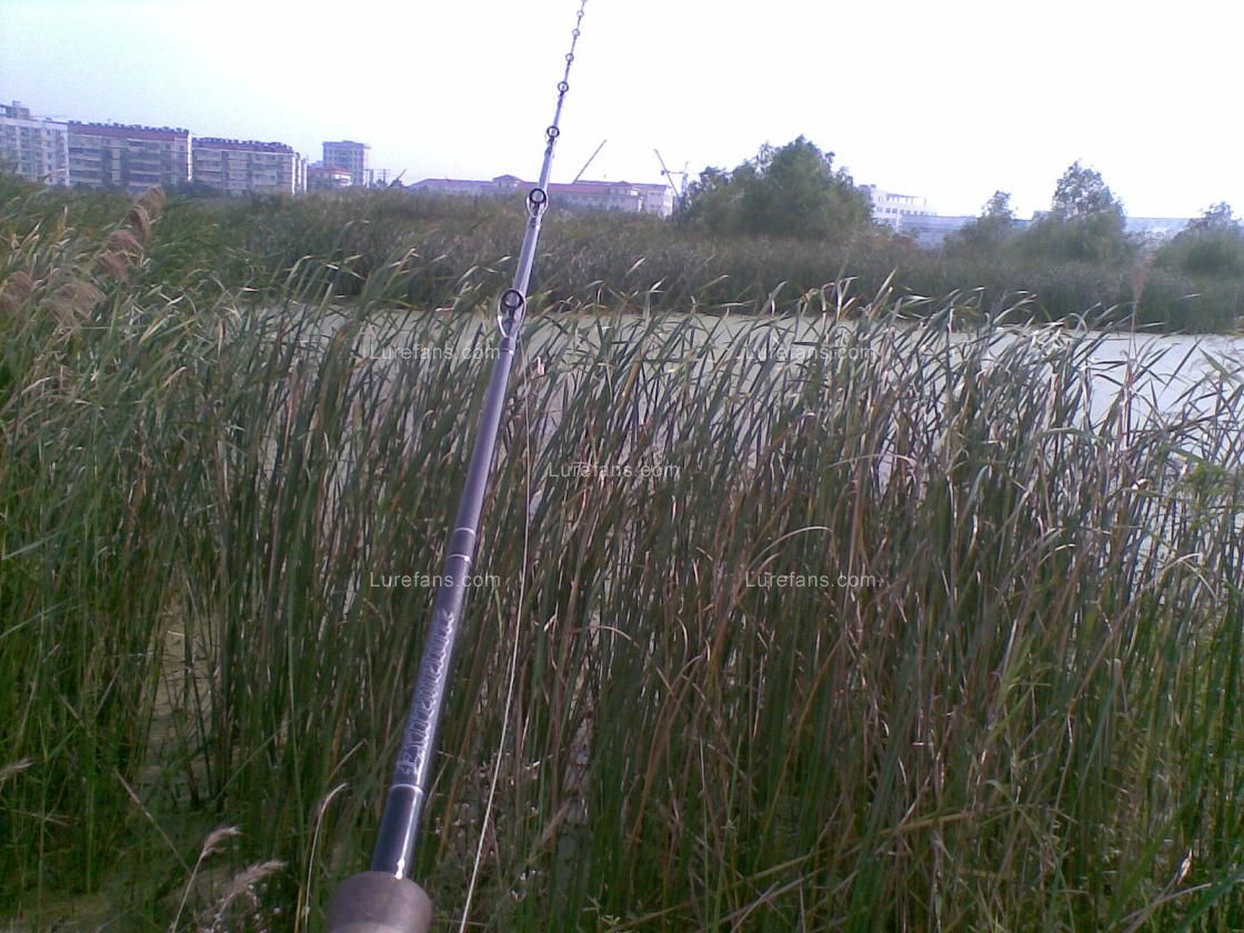 20101006(006).jpg