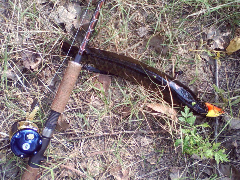 Picture11.jpg