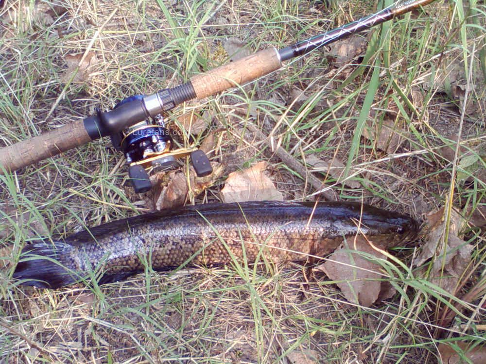 Picture15.jpg