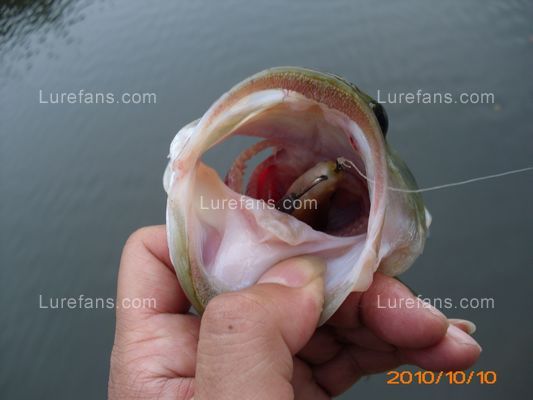ڱ555555