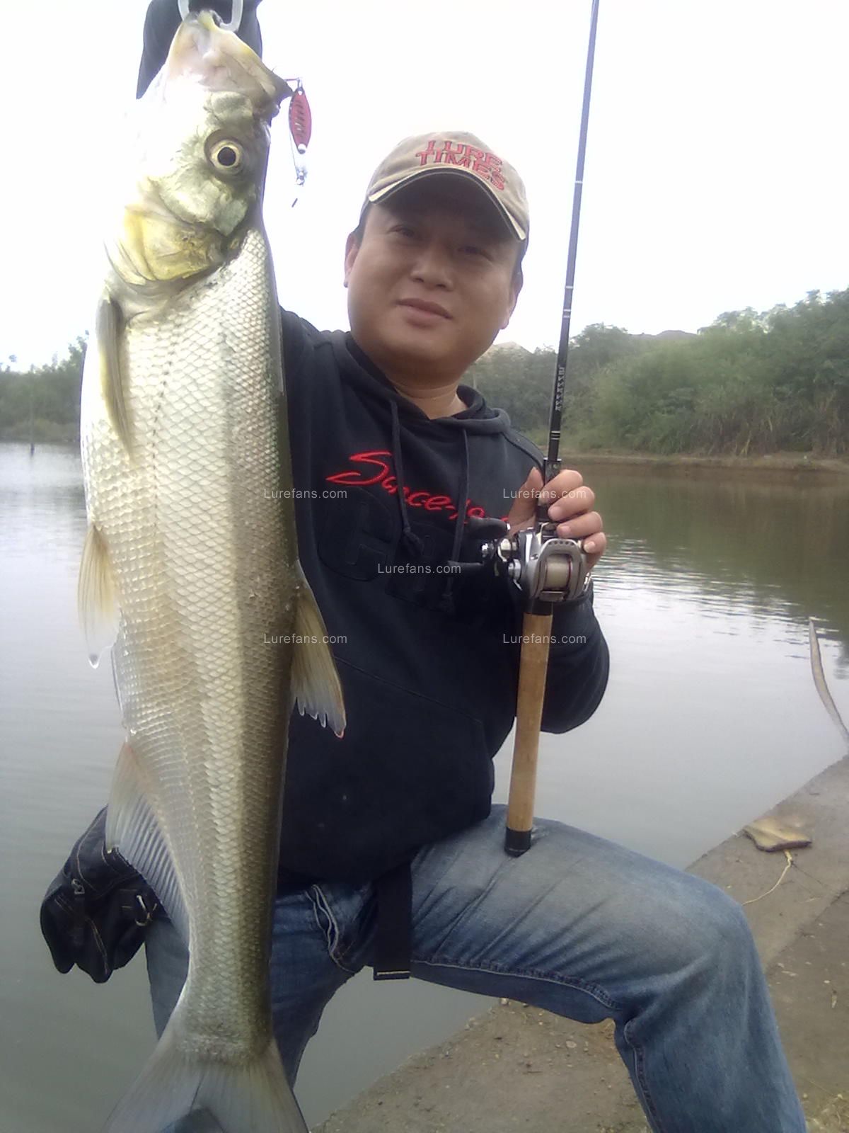 20101011171.jpg