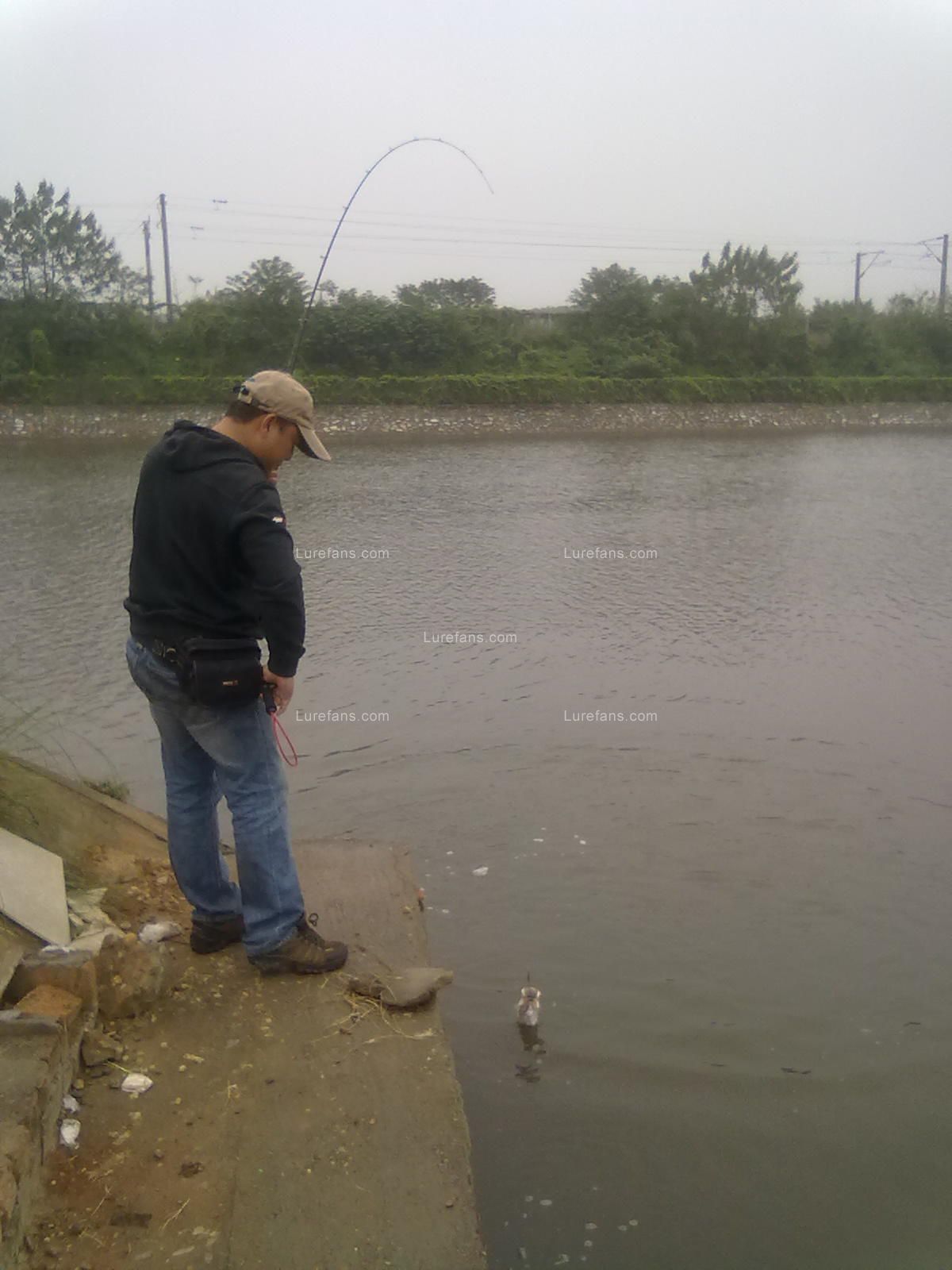 20101011169.jpg