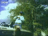 87876.gif