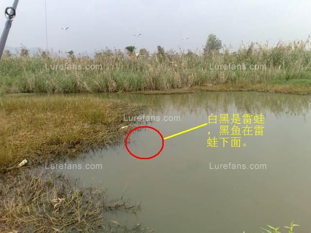 201010161110.jpg