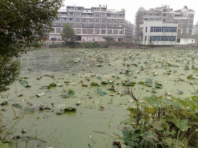 201010161113.jpg