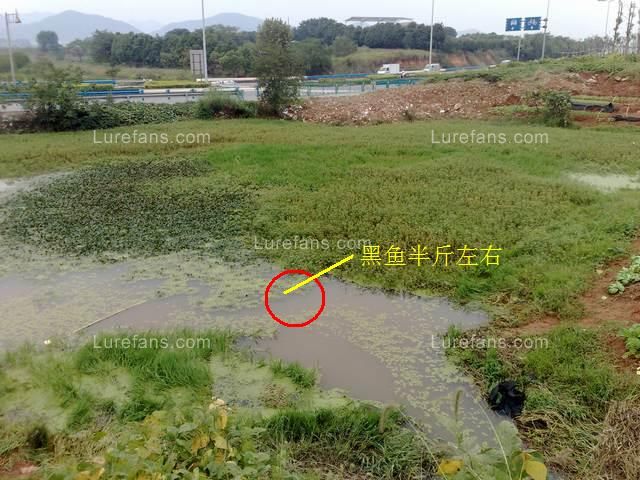 201010161112.jpg