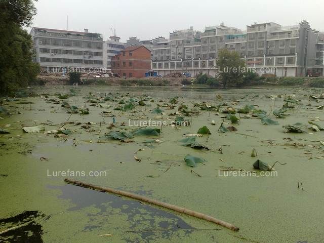 201010161116.jpg