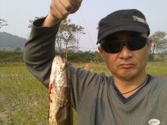 20101107093_conew1.jpg