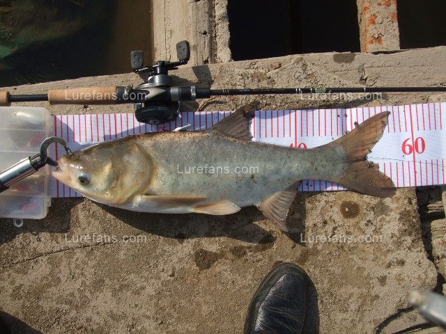 DSCF0013.JPG