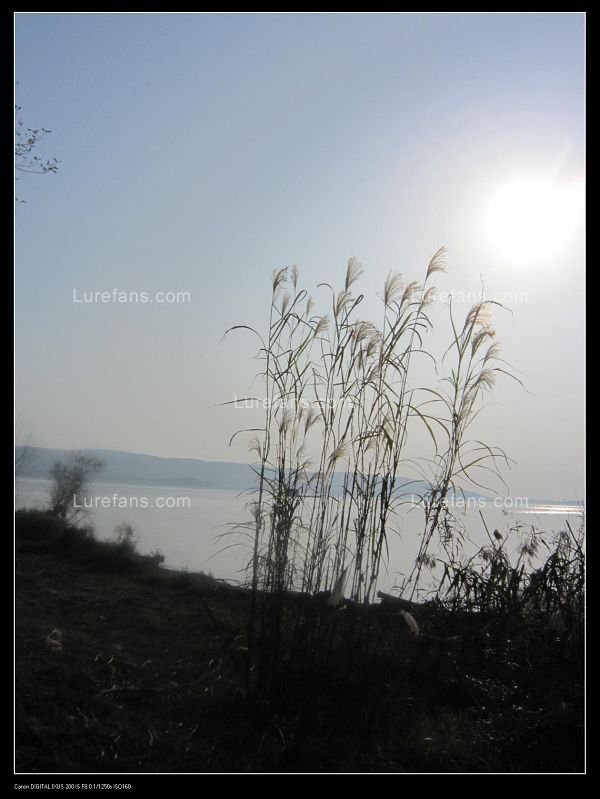 Ƭ 052.jpg