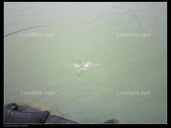 Ƭ 057.jpg