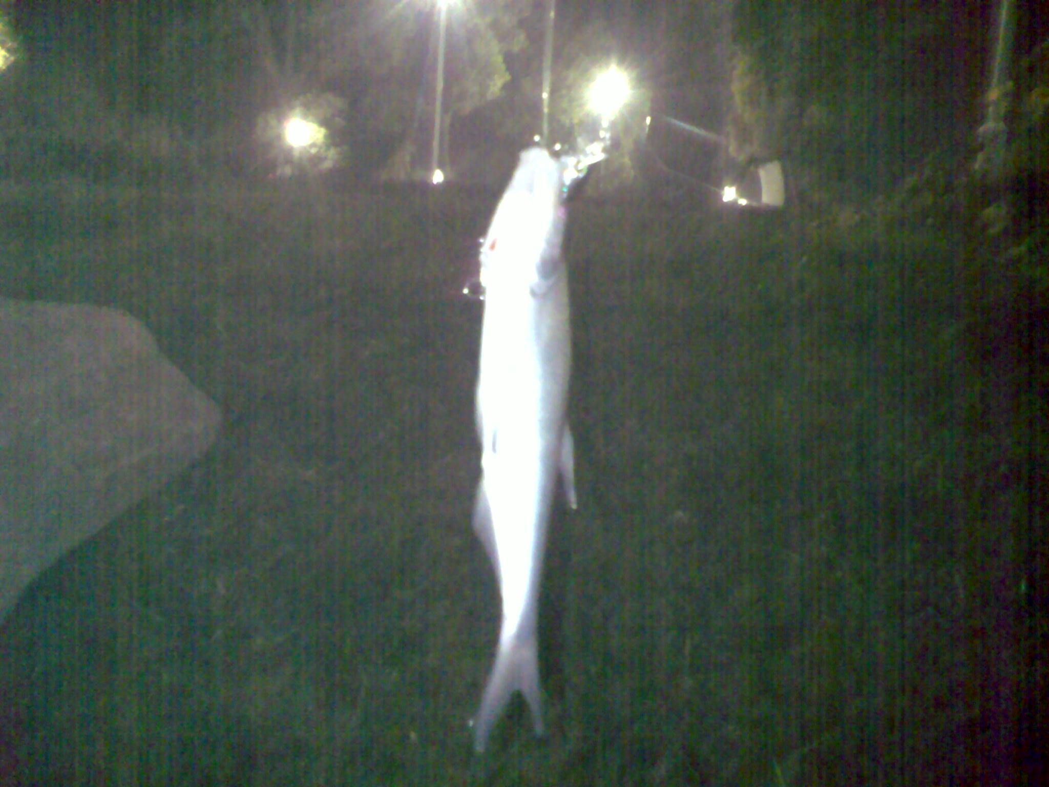 20101202723.jpg