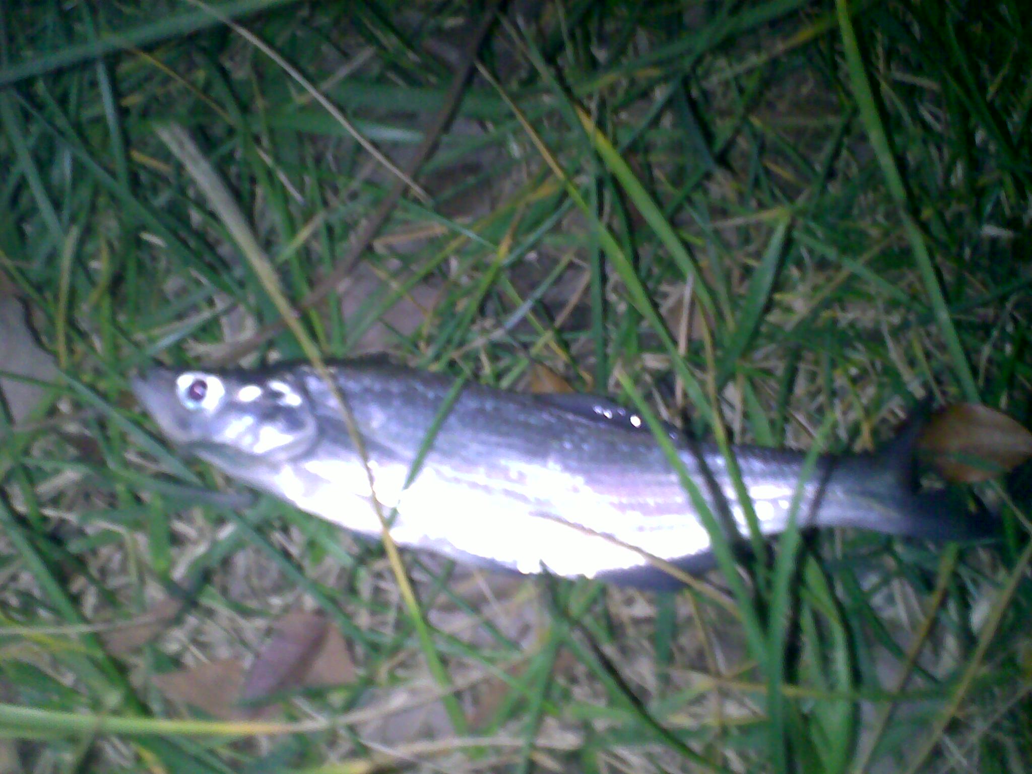 20101202724.jpg