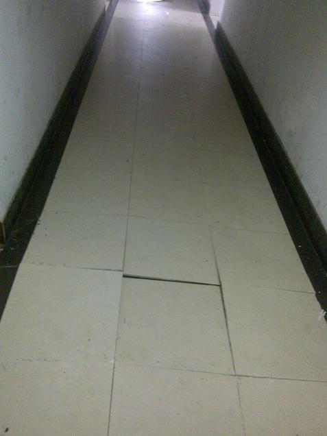 20101217954.jpg