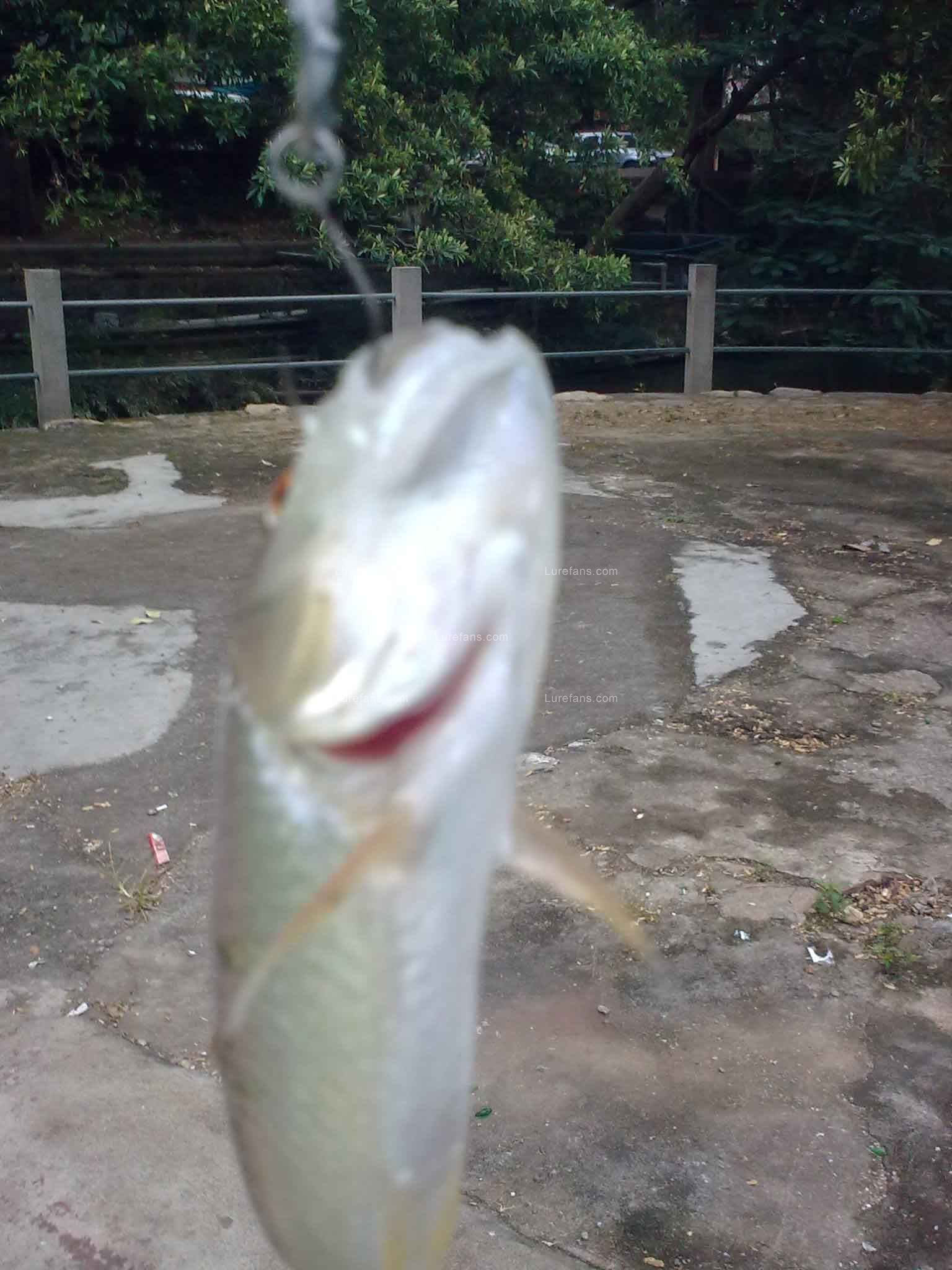20101211_001.jpg