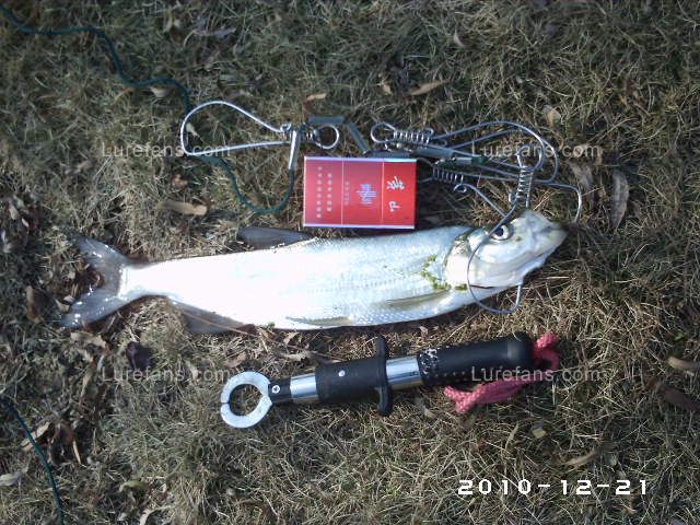 PHOT0048.JPG