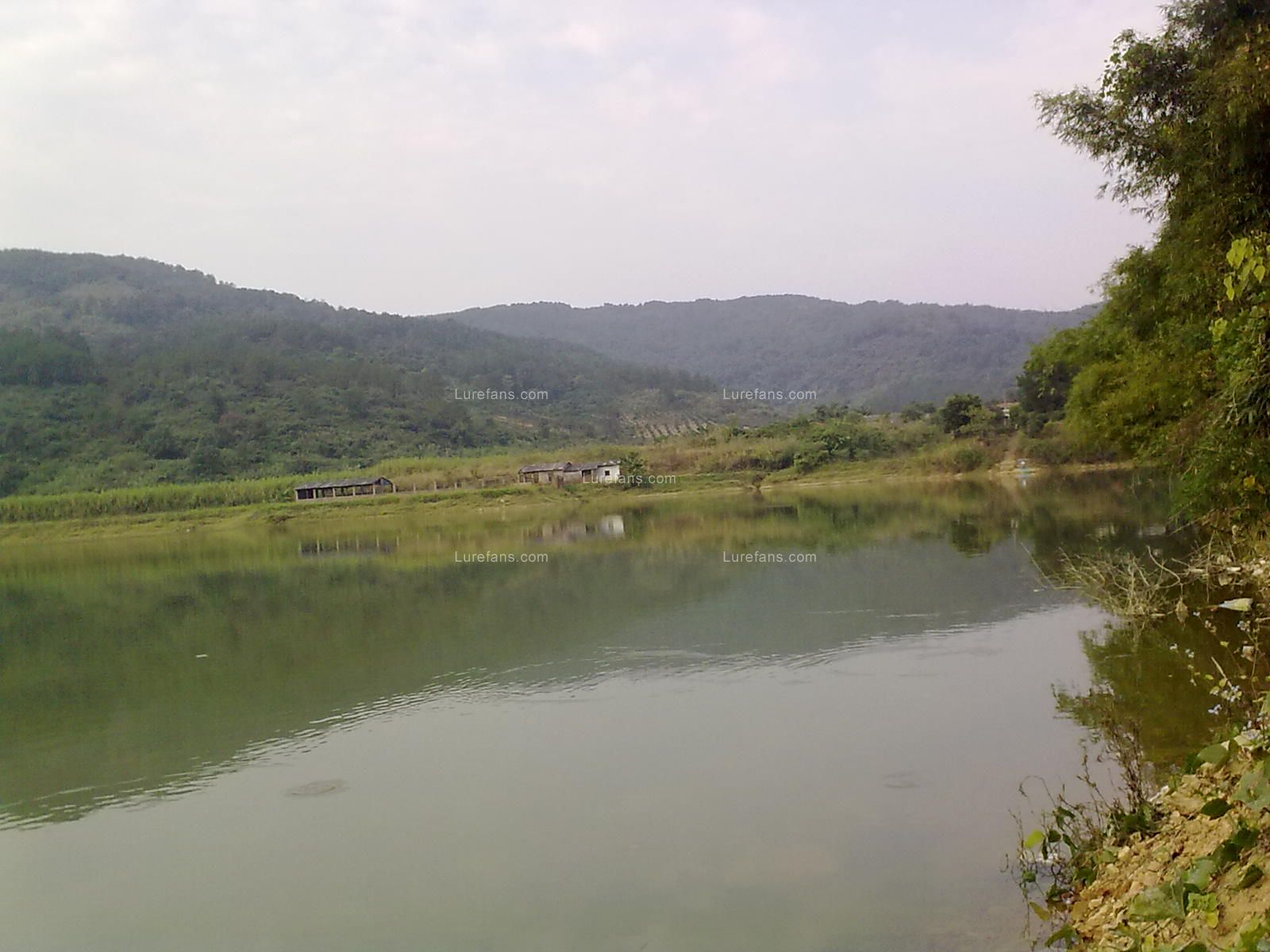 20101126242.jpg