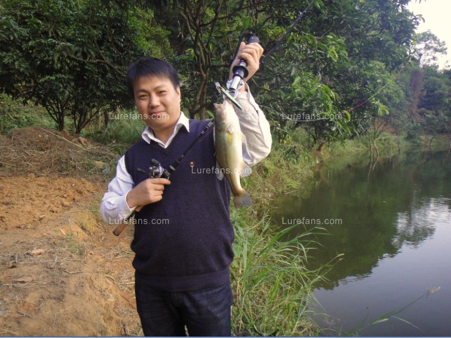 ¶սBASS-cbwong.jpg