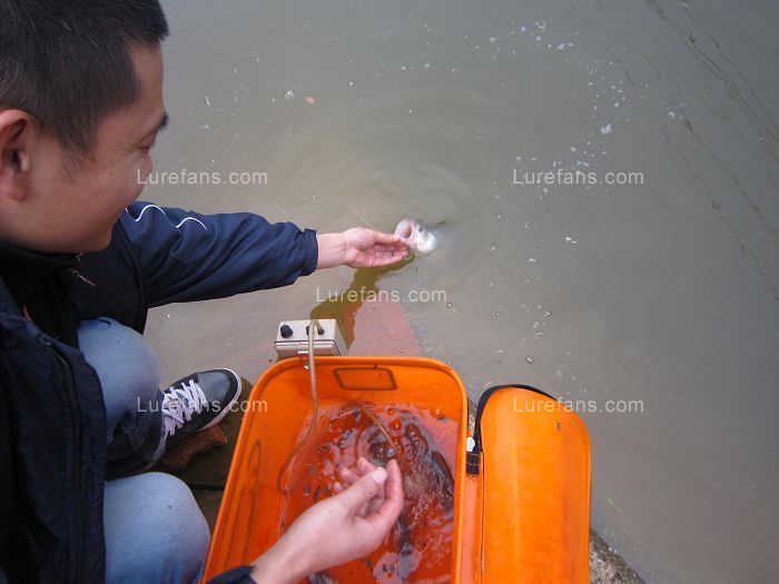 Ƭ 028.jpg