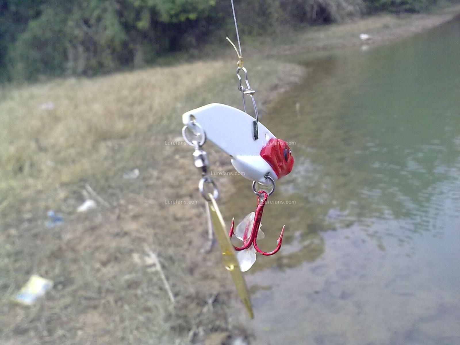 20110107777.jpg