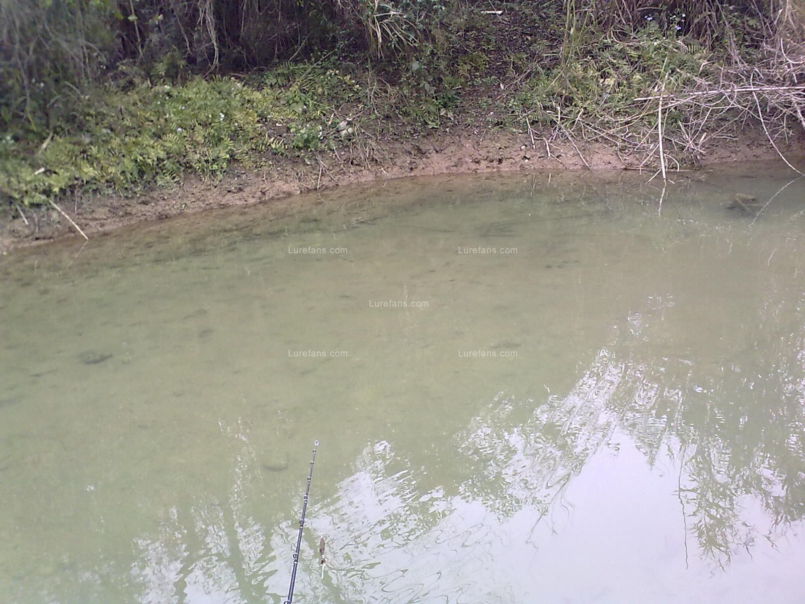 20110107755.jpg