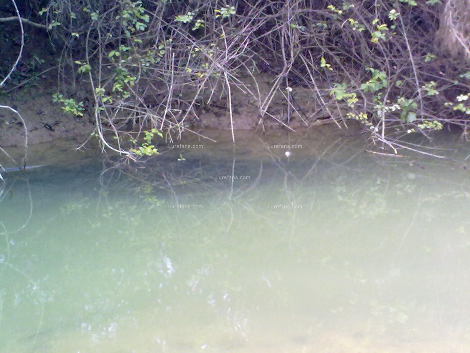 20110107749.jpg